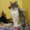 Отзыв от Яна Артамонова